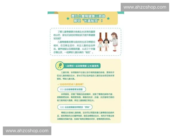 全面解析运动营养科学提升训练效果与健康管理策略