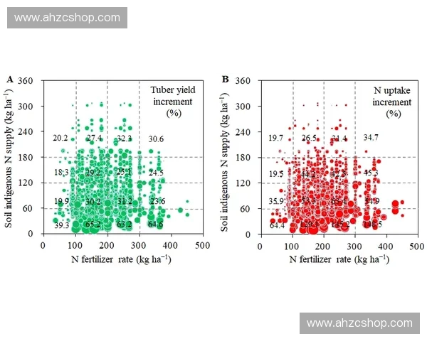 运动营养补给全解析 提升运动表现与恢复的科学策略与方法